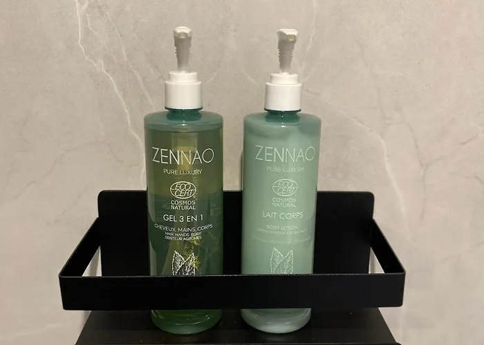 L'ecrin De Jaude - Duplex By Prim0 C0nciergerie