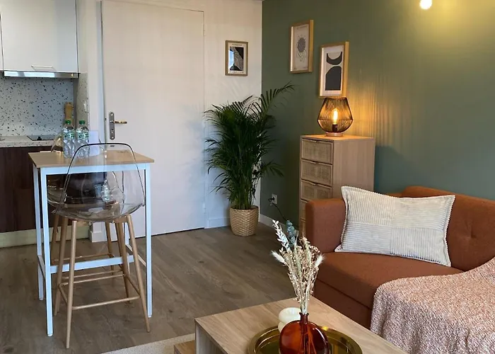 L'ecrin De Jaude - Duplex By Prim0 C0nciergerie * 克莱蒙费朗